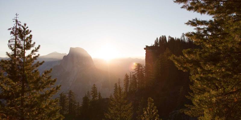 从《楚辞》到现代餐桌：一颗粽子的千年文化漂流史