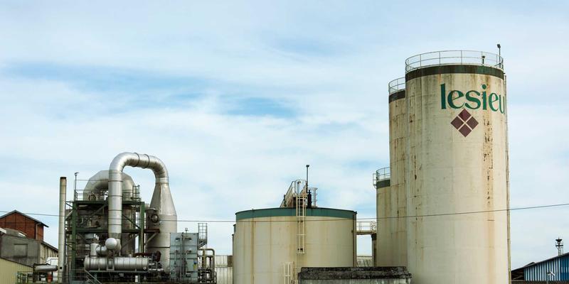 企业团购肉粽全攻略:从经典配方到批量定制,打造端午暖心福利