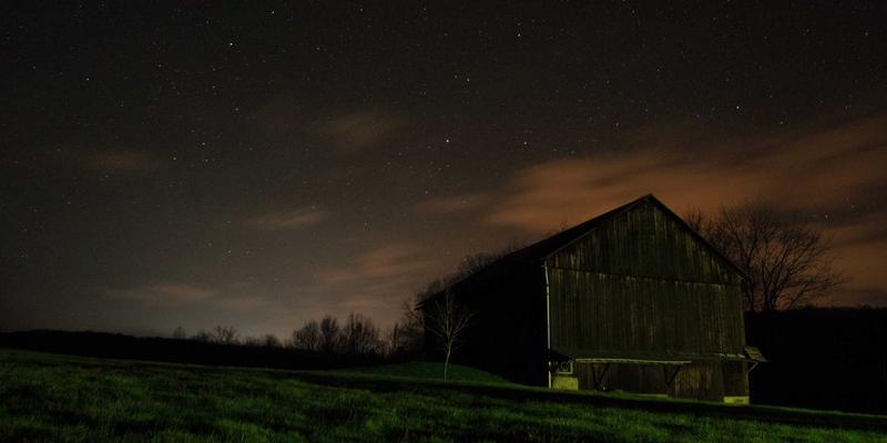 揭秘传统碱水粽：从化学原理到完美口感，打造端午佳节心意礼品