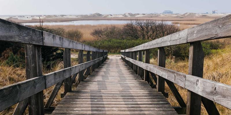 端午粽香里的养生智慧：中医解析糯米、红豆、红枣的时令养生功效