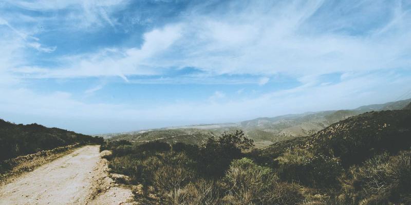 粽子热量高吗？营养师解析：豆沙粽vs肉粽，谁才是隐藏的‘热量炸弹’？