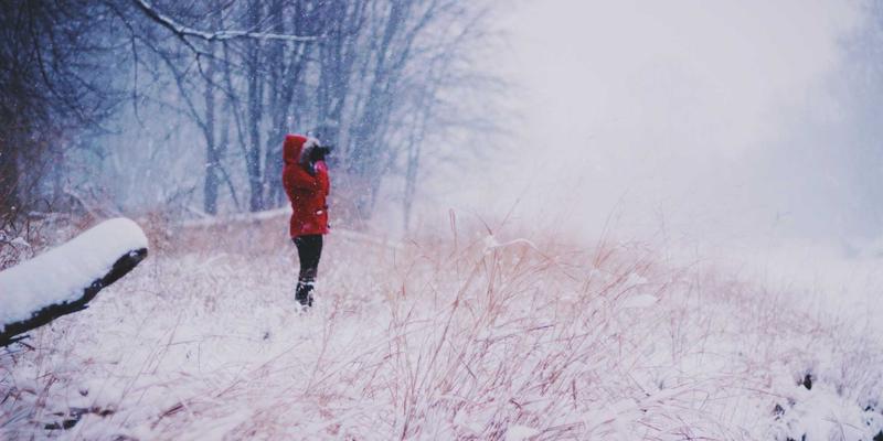 粽子馅料革命:咸蛋黄与巧克力的南北融合,是黑暗料理还是美食新纪元?