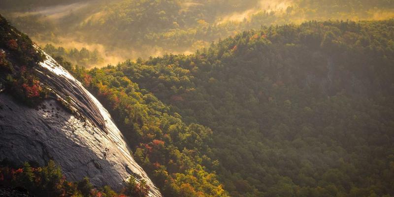 粽艺新生:揭秘珍粽网如何以设计美学,让传统肉粽礼盒成为高附加值文化载体