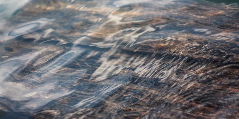 粽香千年:考古发现如何揭开从春秋“角黍”到唐代“赐绯粽”的美食演化史