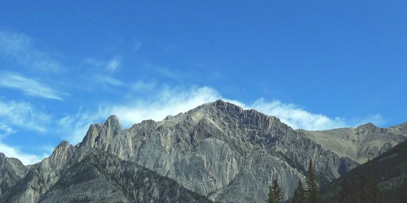 粽香新选择:小米、藜麦、糙米替代糯米,豆沙粽肉粽也能吃得健康不升糖?